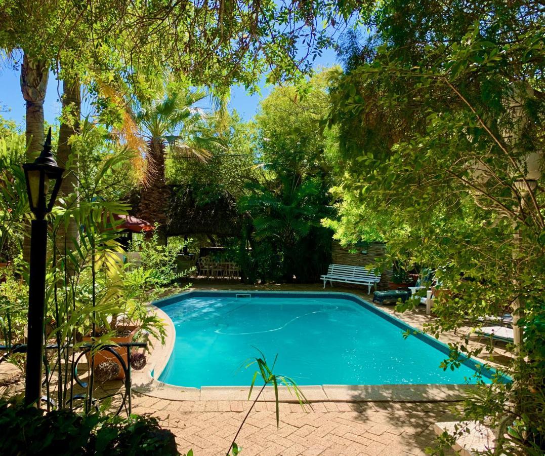 The Little Hideaway Guesthouse 스텔렌보스 외부 사진
