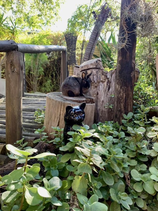The Little Hideaway Guesthouse 스텔렌보스 외부 사진