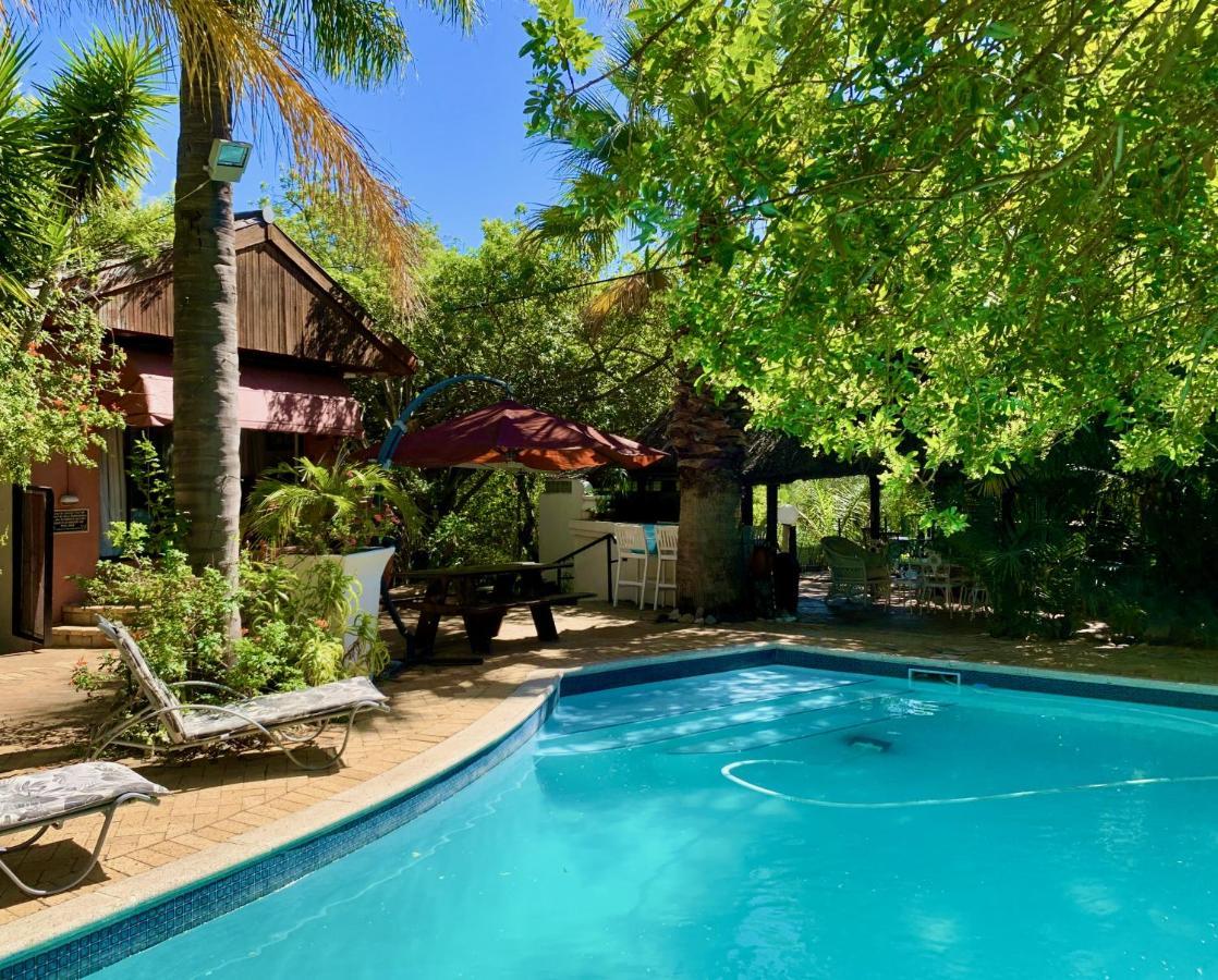 The Little Hideaway Guesthouse 스텔렌보스 외부 사진