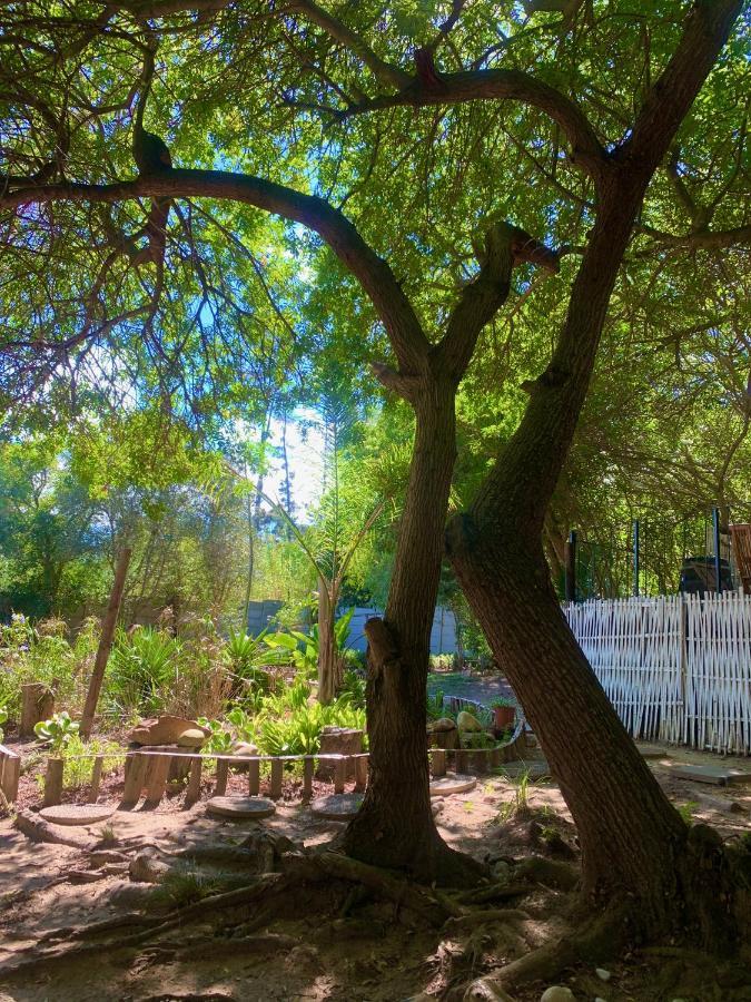 The Little Hideaway Guesthouse 스텔렌보스 외부 사진